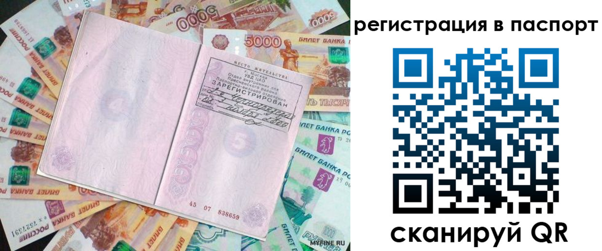 найти адрес прописки в Купино