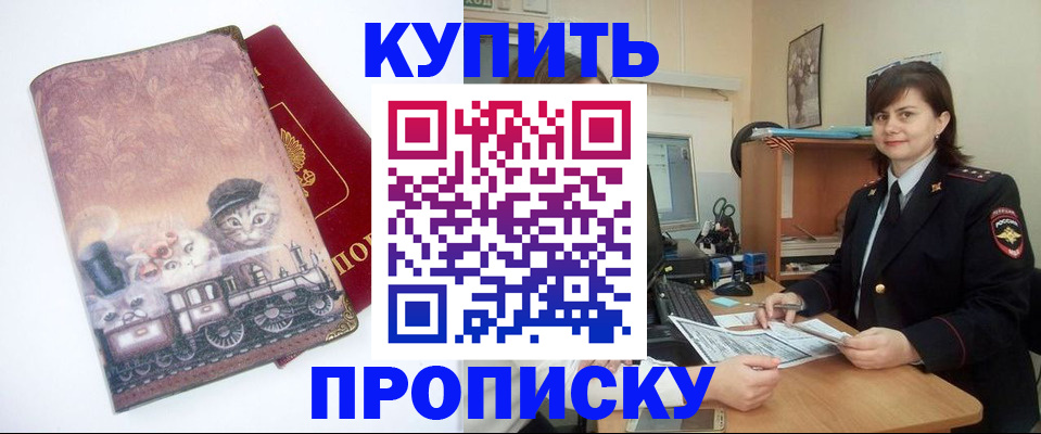 прописка в Купино